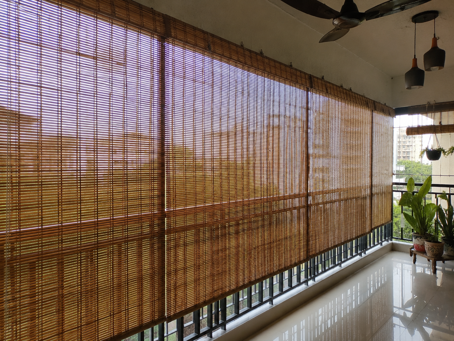 Motorized Blinds